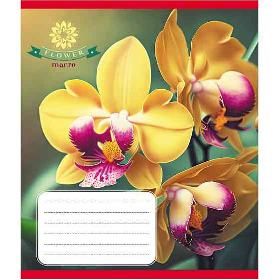 Тетрадь ученическая 