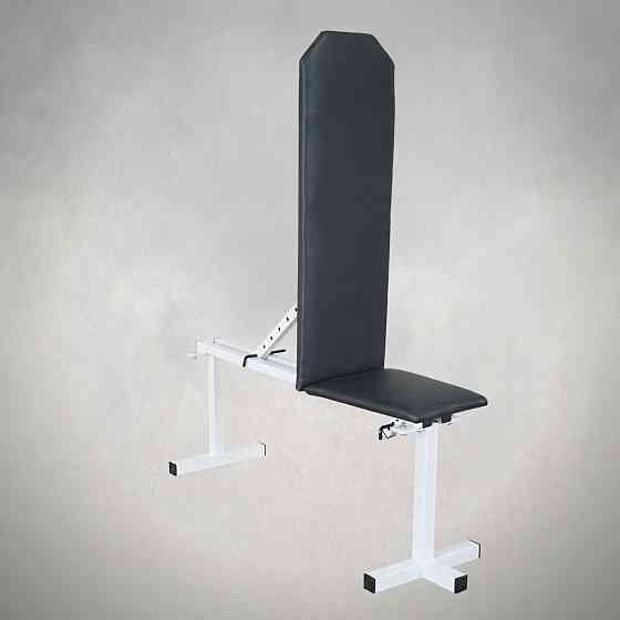 Скамья для жима регулируемая с партой Скотта 30 на 30 мм Стойки, скамьи для жима и приседаний без стоек Киев