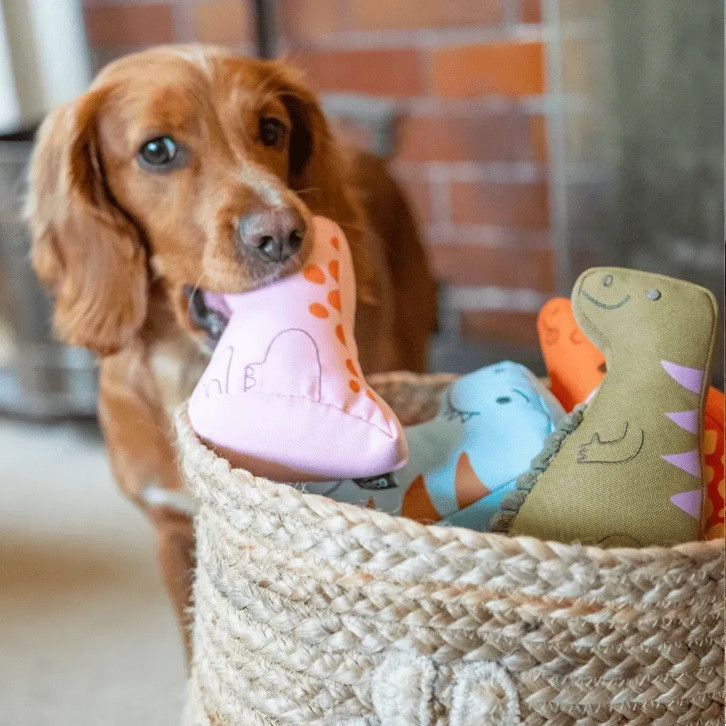 М'яка іграшка для собак Beco Pets Т-Рекс Блакитний M Луцк - изображение 3