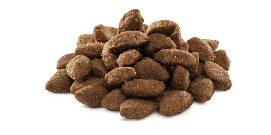 Сухий корм Бріт Brit Premium Sport для дорослих собак усіх порід із підвищеною потребою в енергії, 3 кг Вінниця