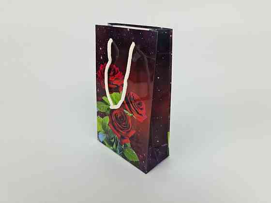 Пакет паперовий подарунковий малий 11/18/5 (арт М141) (12 шт.) Харків