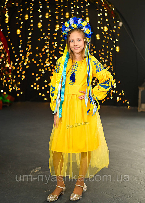 Дитяча вишита сукня з ластівками вид 98 до 140 Кривий Ріг - фото 1