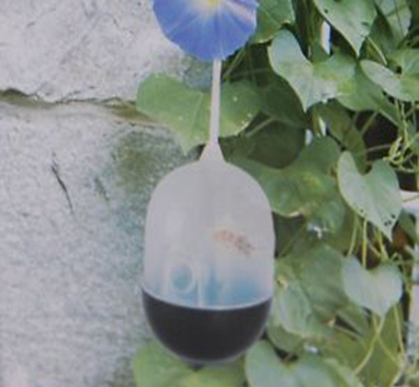 Ловушка для ос, мух и насекомых Wasp Trap Днепр - изображение 3