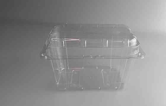 Харчові паковання поліпропіленова на 1 кг із поєднаною кришкою 190х117х1251 арт TL1-1000/94/27 (50 шт) Харків