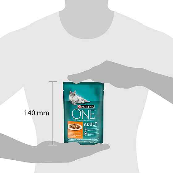 Влажный корм PURINA ONE Adult для взрослых кошек, кусочки в соусе, с курицей и зеленой фасолью, 85 г Киев
