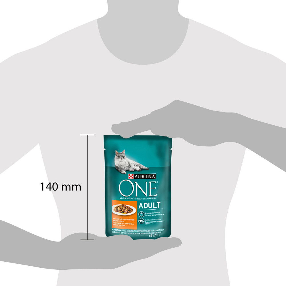 Влажный корм PURINA ONE Adult для взрослых кошек, кусочки в соусе, с курицей и зеленой фасолью, 85 г Киев - изображение 3