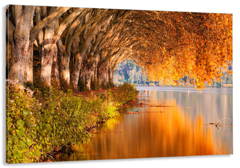 Картина холст у вітальню / спальню    Природа   MLP_69 ( 60х30см ) 80x120 см Київ - фото 1