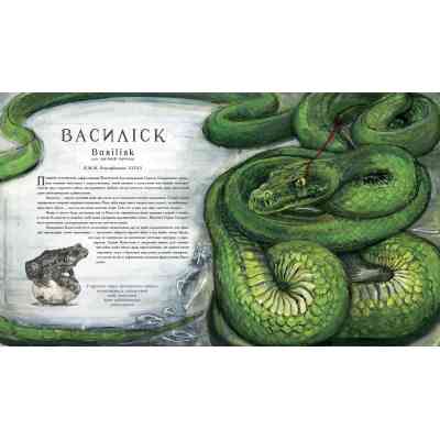 Книга Фантастичні звірі і де їх шукати. Велике ілюстроване видання - Джоан Ролінґ А-ба-ба-га-ла-ма-га (9786175851432) Вінниця