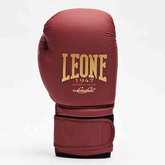 Боксерські рукавички Leone Mono Bord 10 ун. Кам'янське