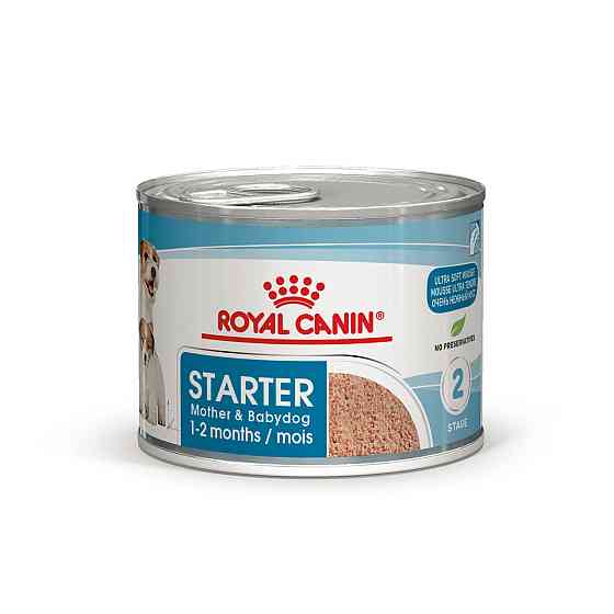 Royal Canin Starter Mousse Mother Babydog (Роял Канін Стартер) вологий корм для вагітних собак 195 г х 12 шт. Запоріжжя