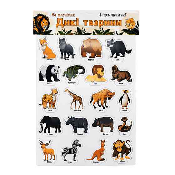 Набор магнитов  