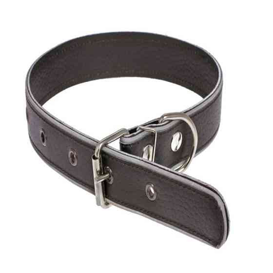 Нашийник 427 30мм "Класик" з світловідбиваючої стрічкою Вінниця