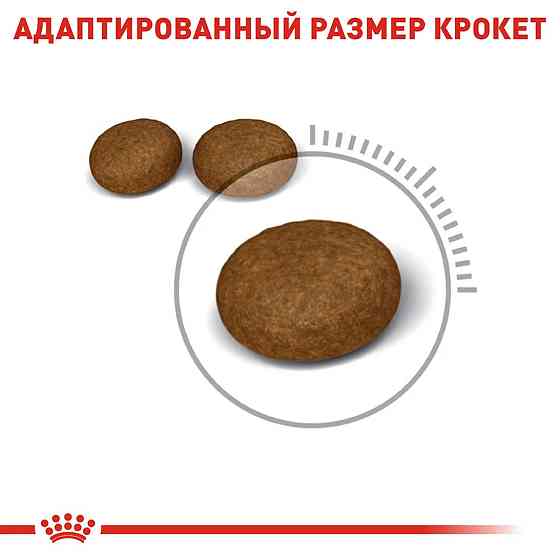 Royal Canin Hair and Skin Care (Рояв Канін Хейр енд Скін Кер) сухий корм для кішок для шкіри і вовни від 12 міска 10 кілограмів. Запоріжжя