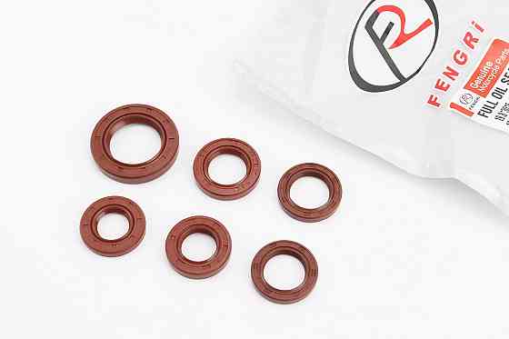 Сальники к-кт 6шт (16,4x30x5; 17x30x5; 19,8x30x5-2шт; 20x32x6; 27x42x7) двигуна, коричневий, від 10шт -15% Київ