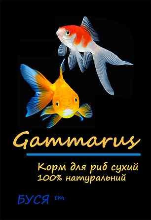 Гамарус сухий "Gammarus" тм Буся - корм для акваріумних риб і черепах - пакет 20г Зміїв