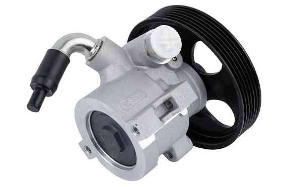 Насос ГПК (126mm) Raiso (Швеція) Peugeot Partner, Пежо Партнер 96- #RG0203 UANYKAI22 Ковель