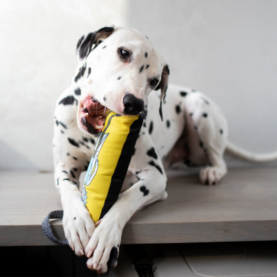 Игрушка для собак WAUDOG Fun "Рик и Морти 2" с пискавкой S (629-0281) Винница - изображение 3