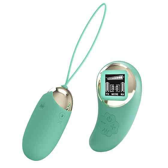Виброяйцо PRETTY LOVE Mina-10 vibration functions 9 speed levels, Wireless remote control Sex Aura Киев
