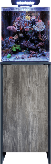 BM REEF 60 AQUARIUM (N4055010) морський акваріумний комплект Київ - фото 1