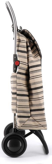 Сумка-тележка Rolser I-Max Dune 2L Arena (IMX424-1043) Киев - изображение 3