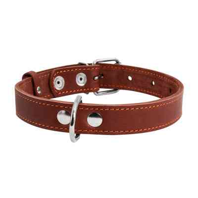 Ошейник для животных Collar одинарный Ш 25 мм Д 38-50 см коричневый (02196) Винница