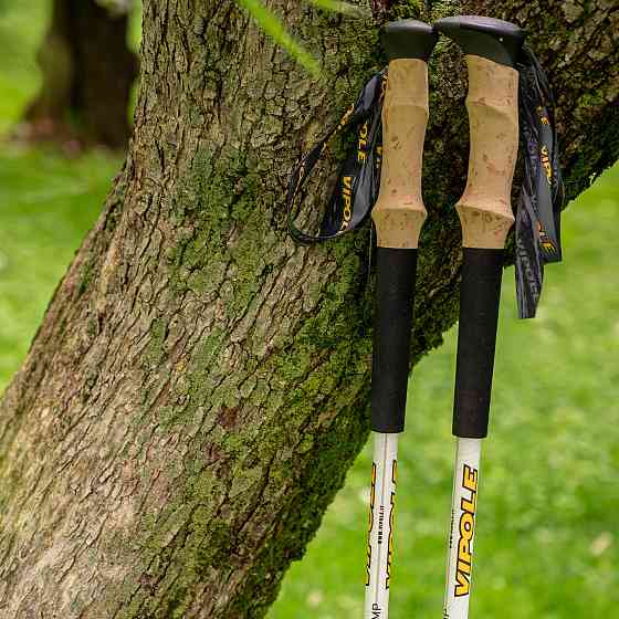 Палки трекинговые Vipole Base Camp Cork DLX (S25 06) Вінниця