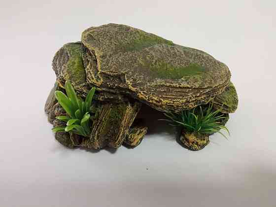 Декор в акваріум від 10см 17082 Луцьк