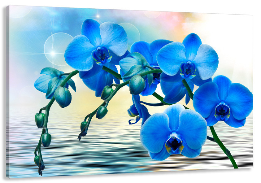 Картина холст у вітальню / спальню    Орхідея    MLP_119  ( 60х30см ) 70x140 см Київ - фото 1