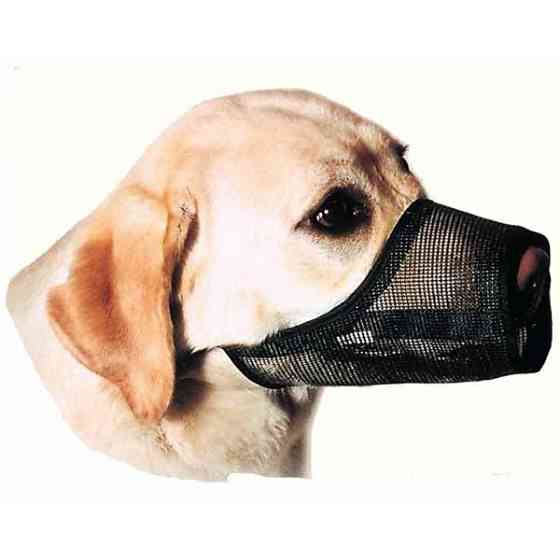 Coastal Best Fit Mesh Muzzle КОСТАЛ БЕСТ ФИТ намордник для собак, нейлон Киев