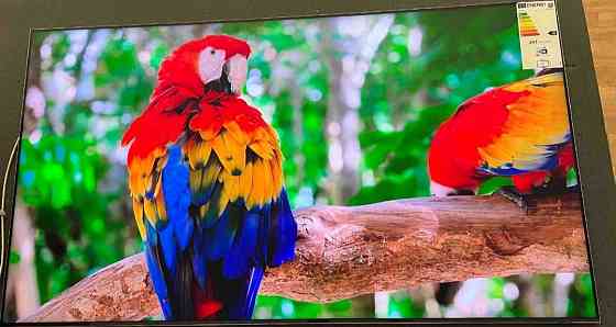 Телевизор: 65