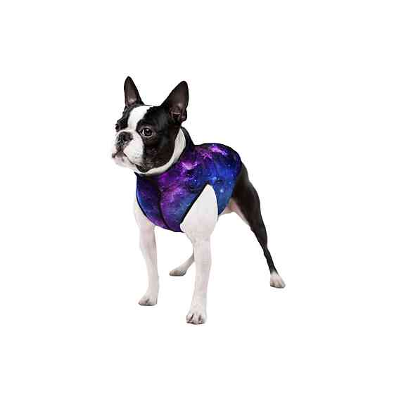 Курточка для собак WAUDOG Clothes малюнок "NASA21", L55, В 77-79 см, С 50-55 см Київ