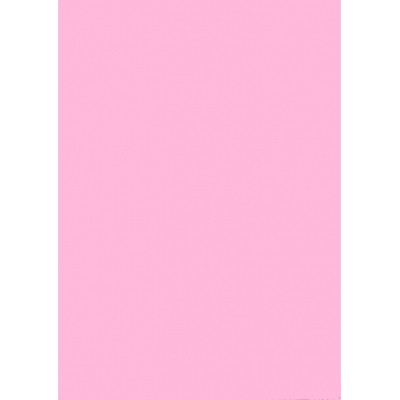 Папір Buromax А4, 80g, PASTEL pink, 20sh, EUROMAX (BM.2721220-10) Вінниця - фото 2