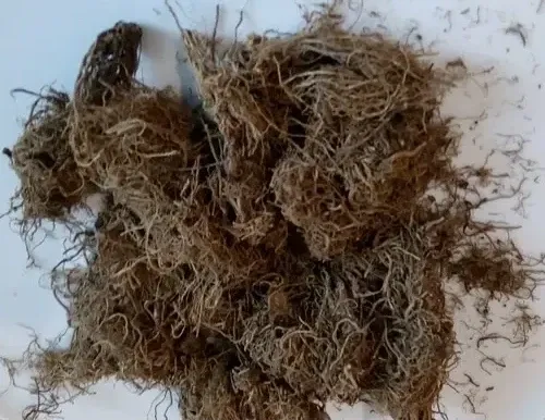 Корінь валеріани (Корень валерьяны), 100г master sem Киев - изображение 1