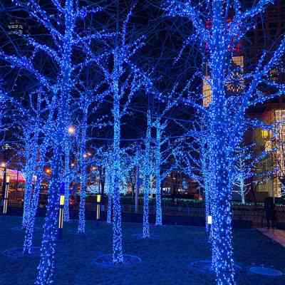 Гирлянда ColorWay IP65 10м 100Led голубой свет (CW-GO-100L10BL) Винница