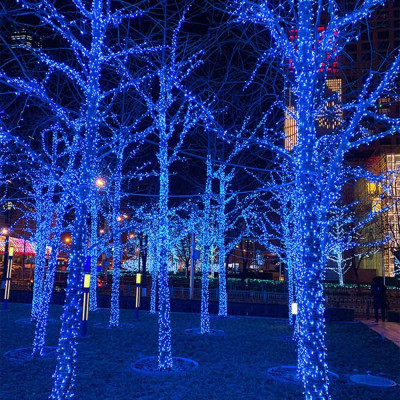 Гирлянда ColorWay IP65 10м 100Led голубой свет (CW-GO-100L10BL) Винница - изображение 5