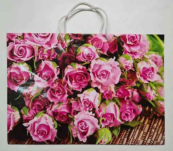 Паперовий великий горизонтальний пакет 36/22/10 (артBG-029) (12 шт.) Харків