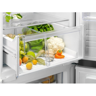 Холодильник Electrolux RNT6TE19S Винница - изображение 3