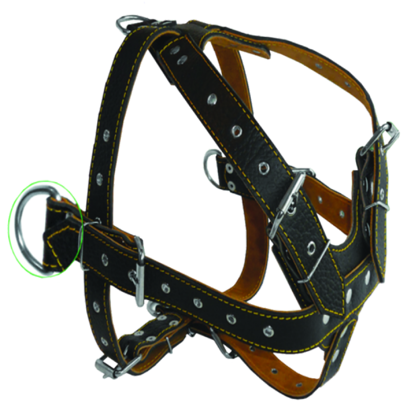 Шлея 849 35 мм "КЛАСИК" подвійна шкіра "ТЯГОВА" Вінниця - фото 1