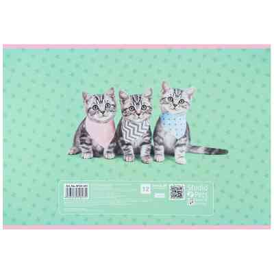 Альбом для рисования Kite Studio Pets, 12 листов (SP25-241) Винница