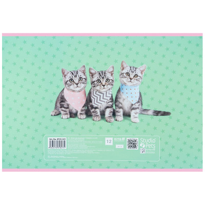 Альбом для рисования Kite Studio Pets, 12 листов (SP25-241) Винница - изображение 6