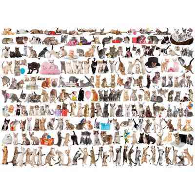 Пазл Eurographics Світ кішок 1000 елементів (6000-0580) Вінниця