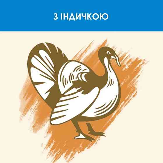 Сухий корм CAT CHOW Feline 3-in-1 для дорослих котів, з формулою потрійної дії, з куркою, 15 кг Київ