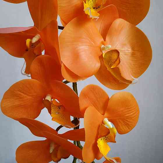 Штучна латексна орхідея VIP у коричневому керамічному кашпо на одну гілку помаранчева Дніпро