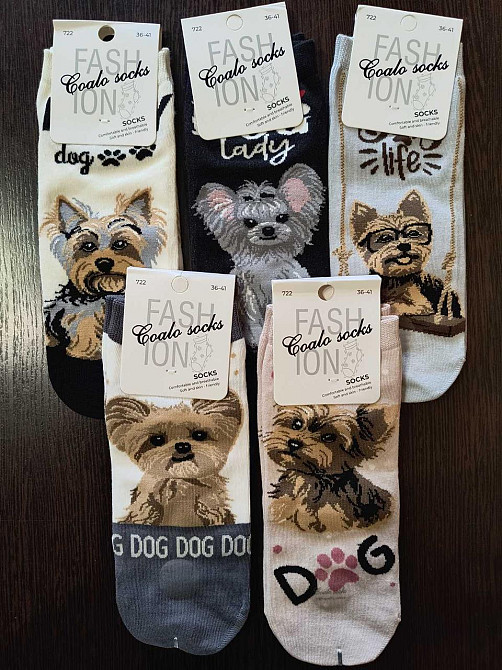 Шкарпетки жіночі із собачками. У наборі з 5 шт. Яскраві жіночі шкарпетки з приколами. Coalo socks. Розмір 36-41 Київ - фото 1