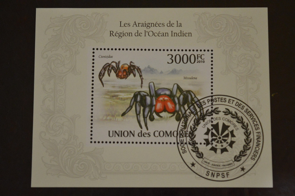 Коморы. Марки. Фауна. Блок. 2010 год (В-5) Полтава - изображение 1