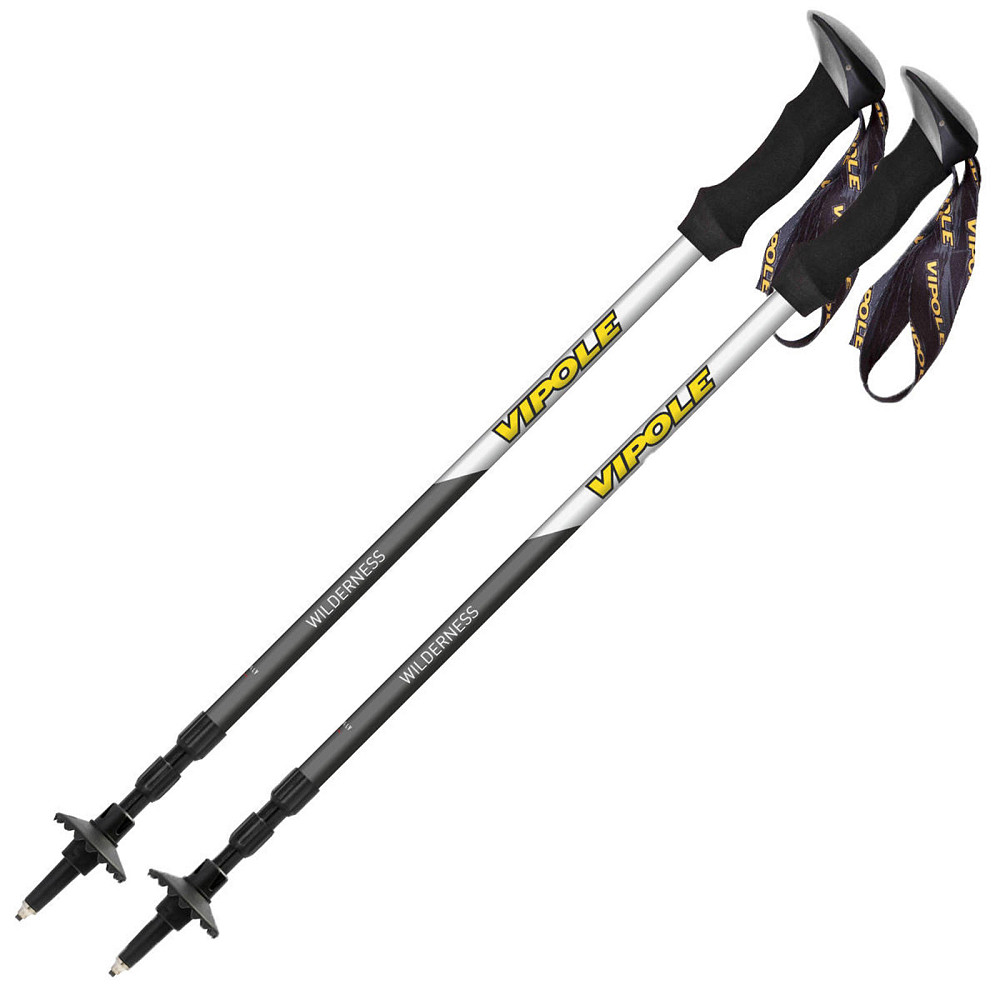 Палки трекинговые Vipole Wilderness AS (S25 19) Вінниця - фото 1