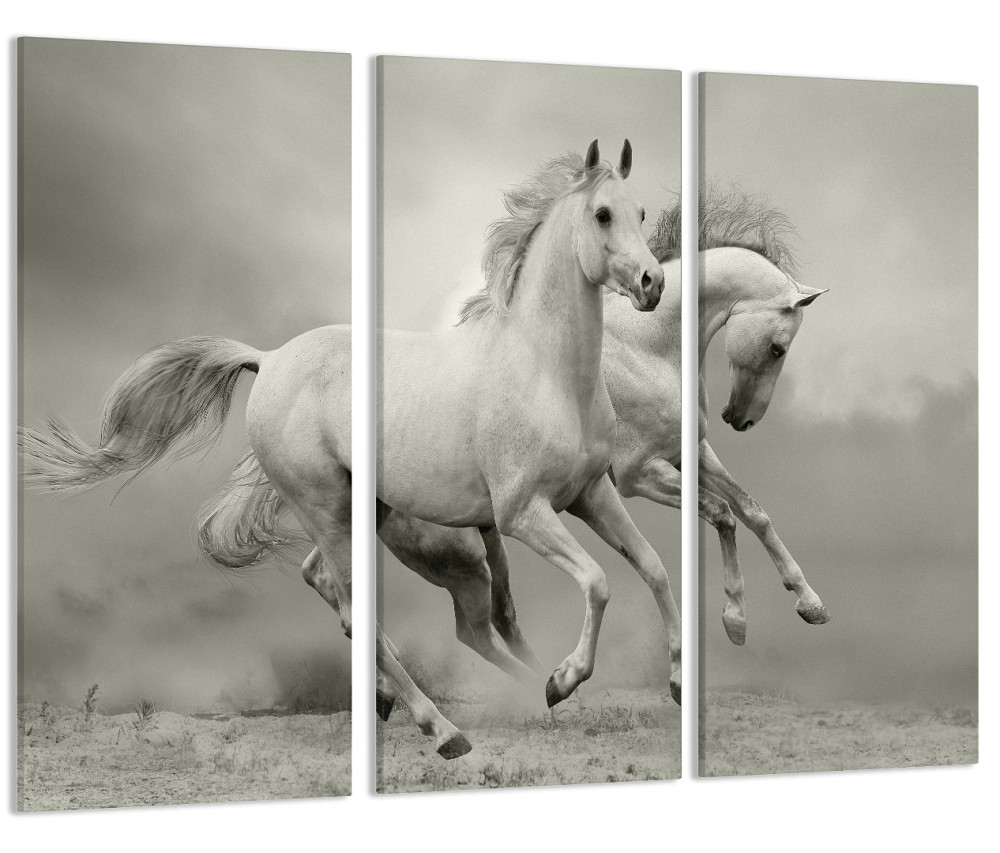 Модульна картина Білі Коні Art-125_XXL Київ - фото 1