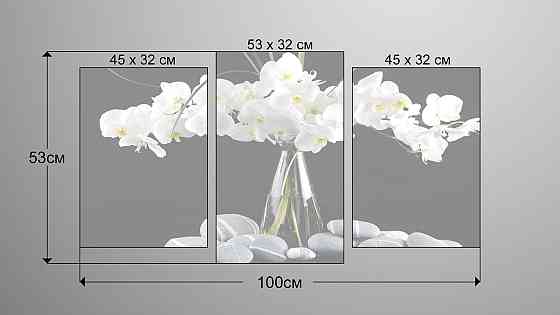 Модульна картина Орхідея Art-43_3 Київ