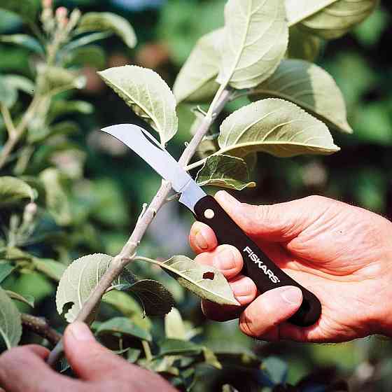 Складаний вигнутий Ніж для прищеплення рослин 17 см Fiskars "K62" (125880/1001623) Нержавіюча сталь Нововолинськ