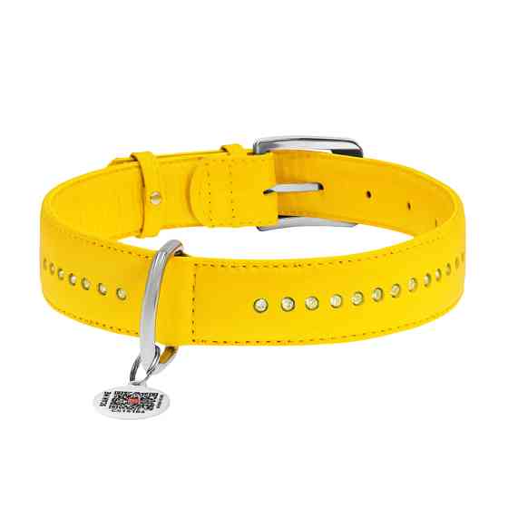 Нашийник для собак шкіряний WAUDOG Glamour з QR паспортом, подвійний зі стразами, Ш 35 мм, Дов Коломыя